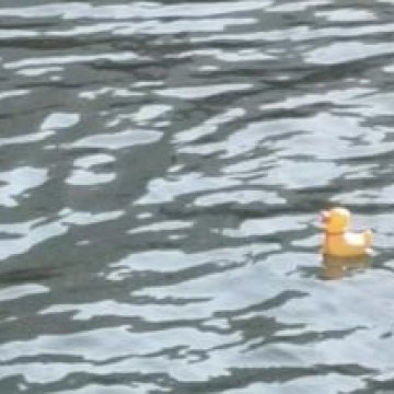 365577454_6566371763439641_3764681430232449362_n